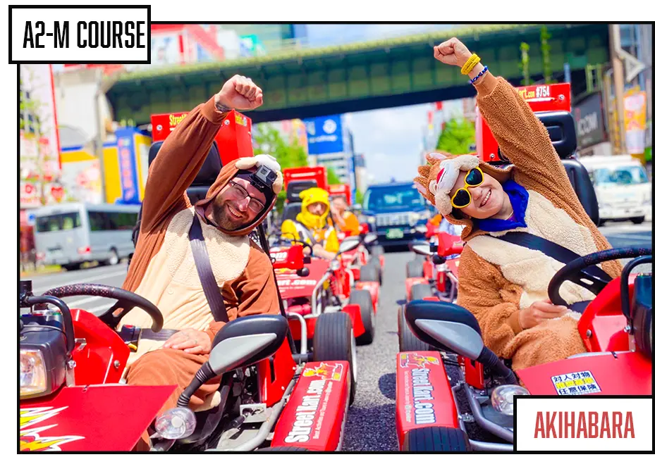 GO-KARTING JAPAN Tour A2M - Image 2