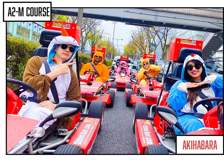 GO-KARTING JAPAN Tour A2M - Image 3