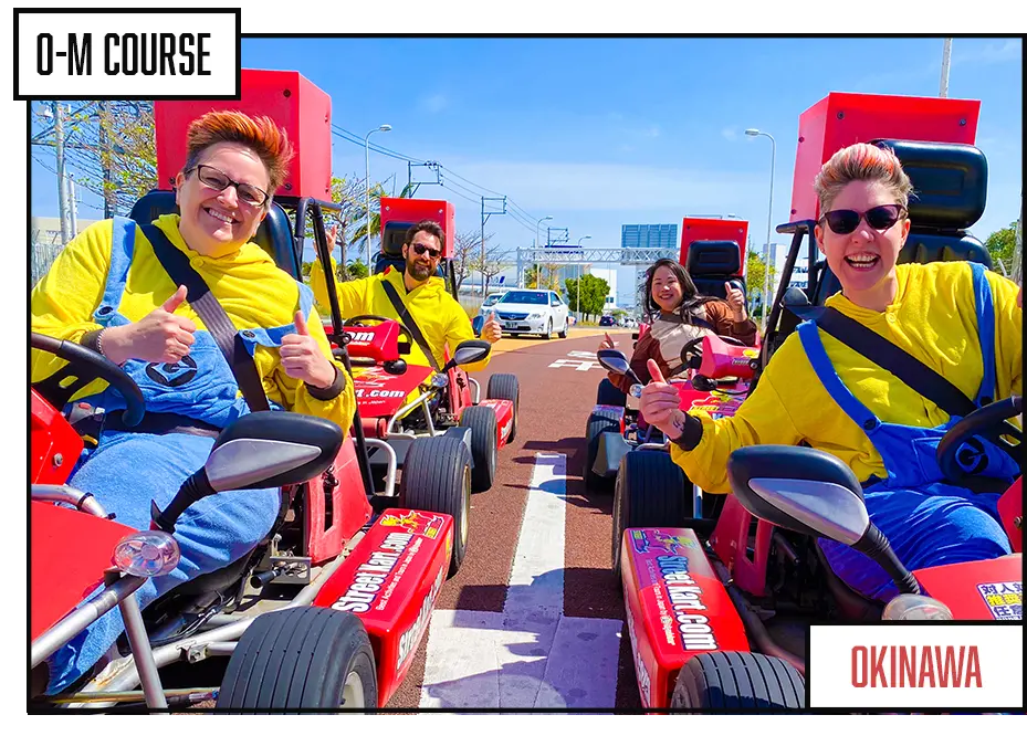 GO-KARTING JAPAN Tour 2h - Image 2
