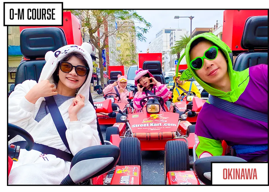 GO-KARTING JAPAN Tour 2h - Image 3
